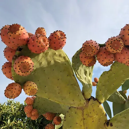 Terrazza Dolce Vista